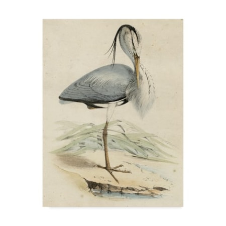 Unknown 'Antique Heron Iv' Canvas Art,24x32
